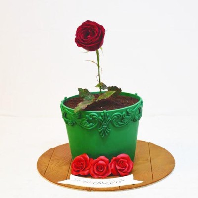 کیک زنانه گلدان رز 