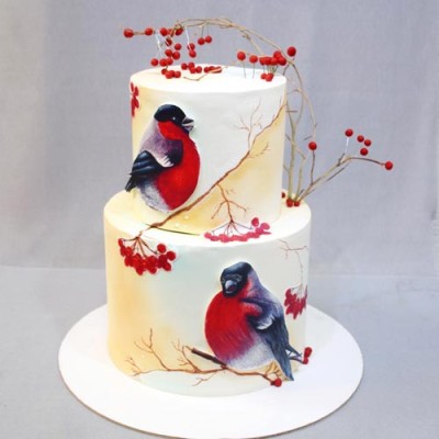 کیک یلدایی عروس پرنده