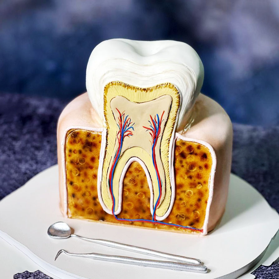 کیک روز دندانپزشک عصب 